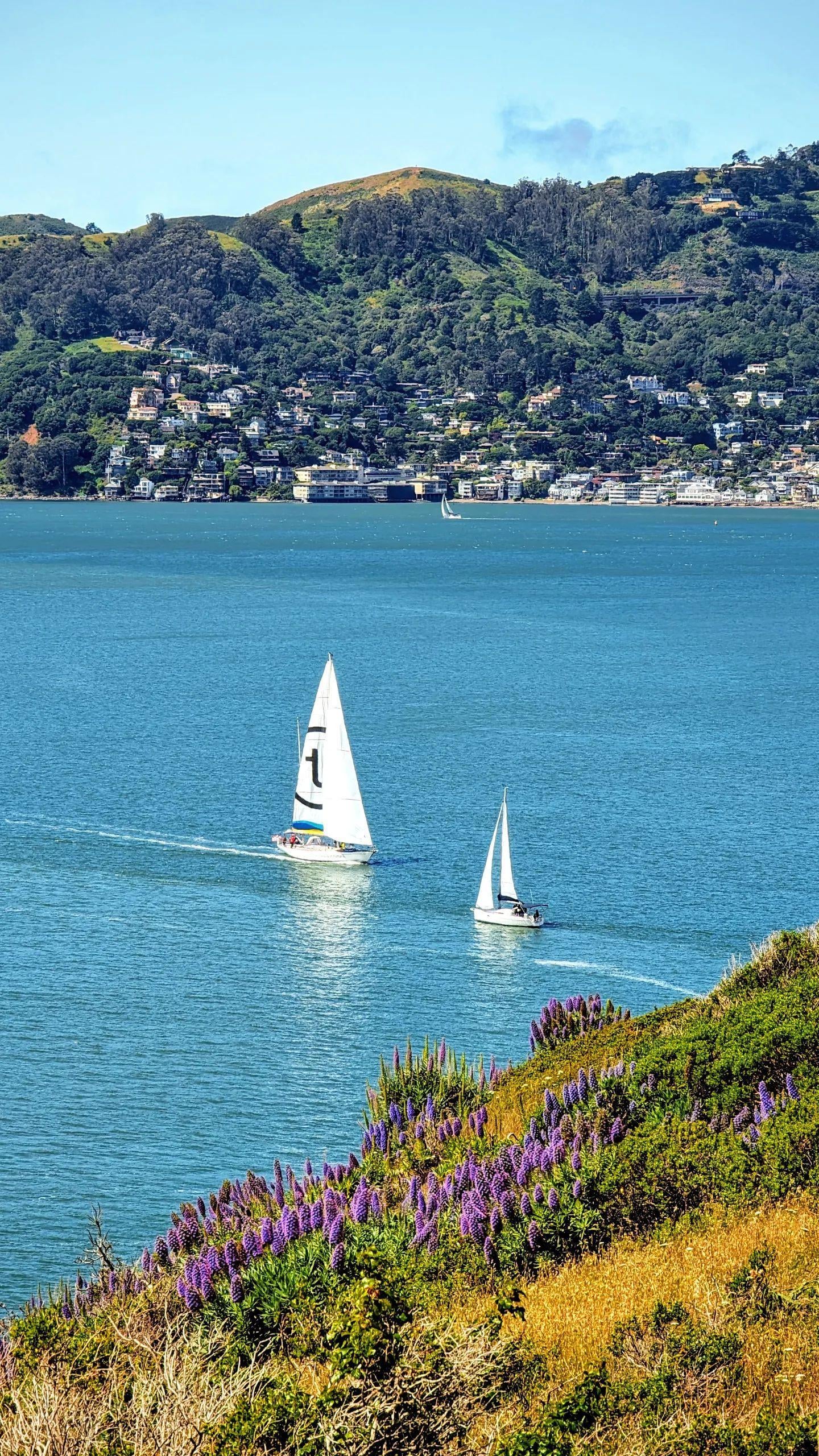 San Francisco